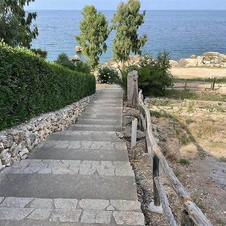 Villa Hibiscus Scopello Scopello  Exteriör bild