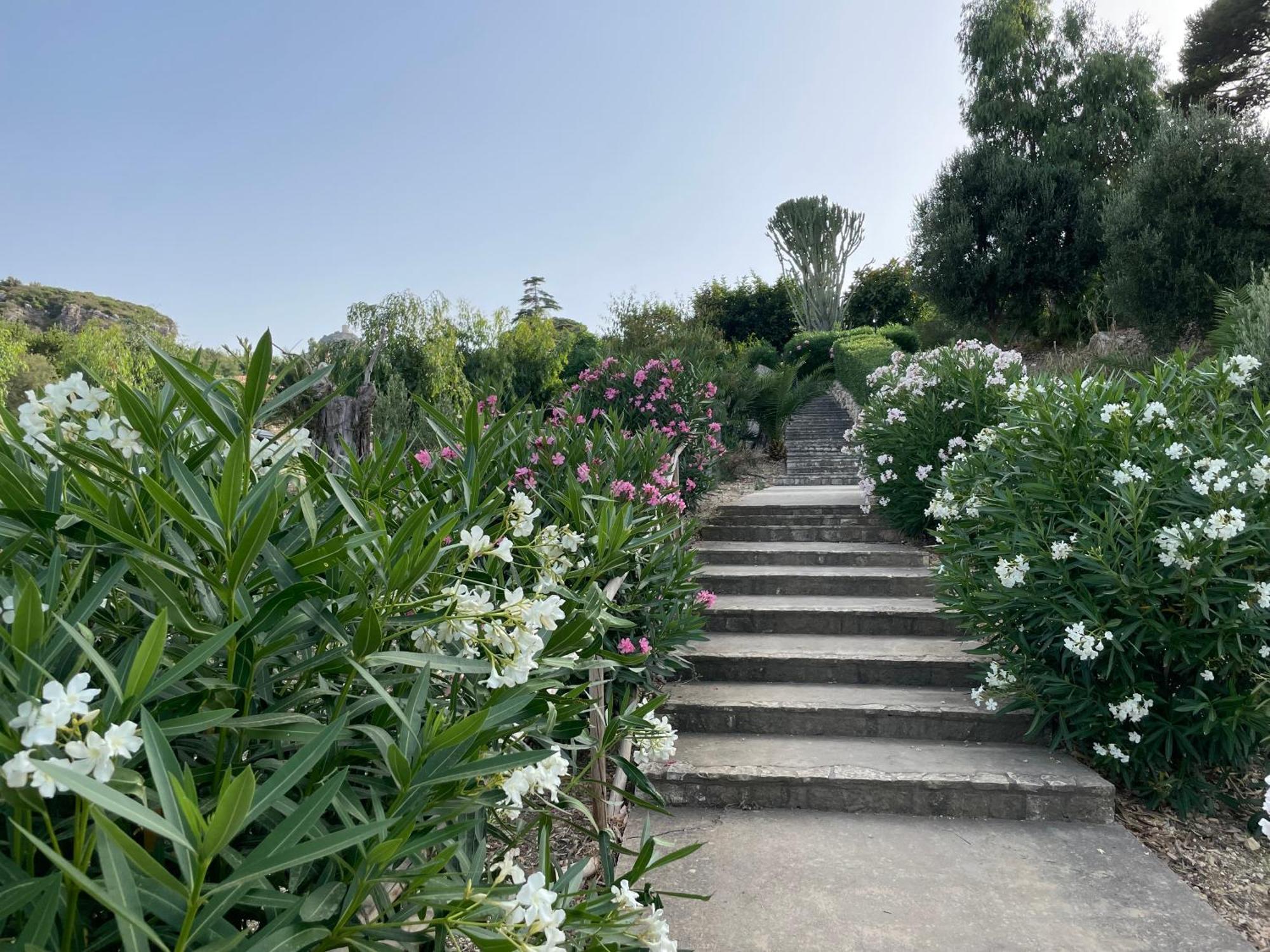 Villa Hibiscus Scopello Scopello  Exteriör bild